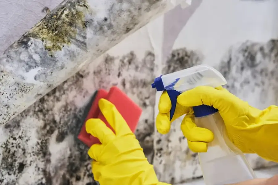 Common Signs Your Basement Needs Professional Cleaning in Tucson, AZ